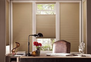 Refreshing Gilbert Window Coverings for Spring